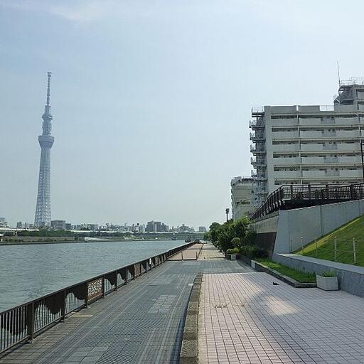 マンションの裏は隅田川。走るも良し、語らうにも良しです! 浅草ロイヤルマンション裏の隅田川テラスです。