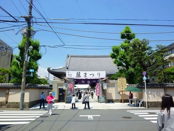 アートライフで、台東区西浅草にある東本願寺で開催される藤まつりを紹介します。