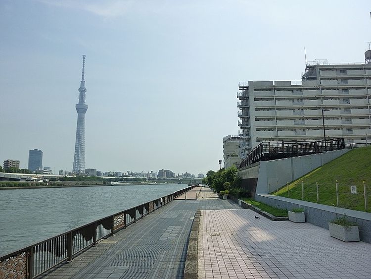 浅草ロイヤルマンションの裏は隅田川テラスになっています。